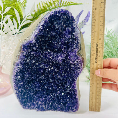 Amethyst Cluster - Crystal Cut Base - You Choose variant B with ruler for size reference