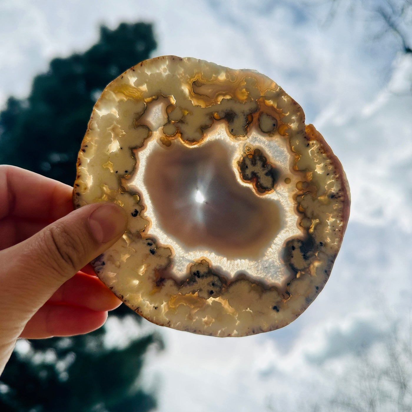 Agate Slice Set - Set of Eight Agate Crystals agate 2 in hand in front of the sun backlit
