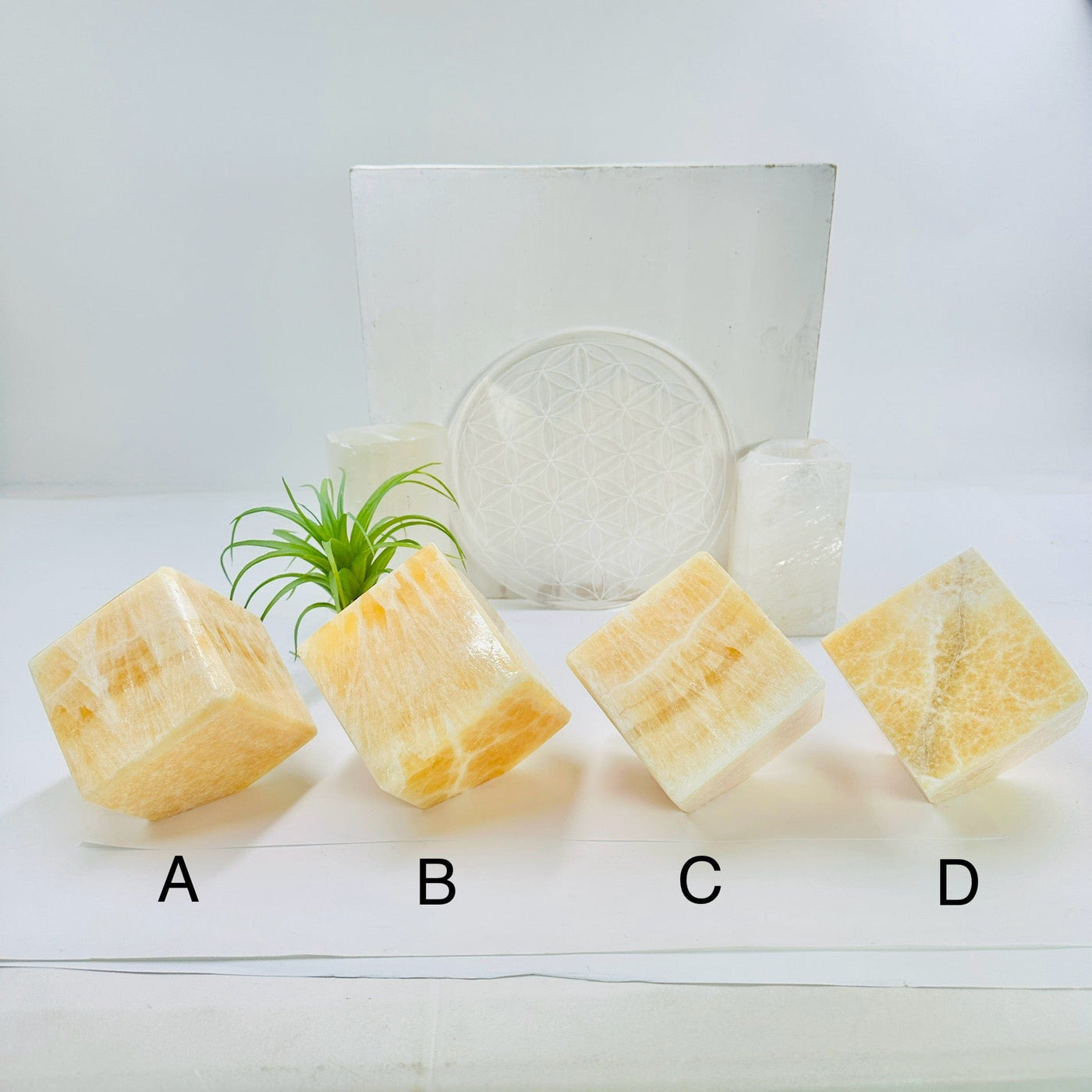 Light Yellow Mexican Onyx Polished Faceted Cube - You Choose - all four variants labeled