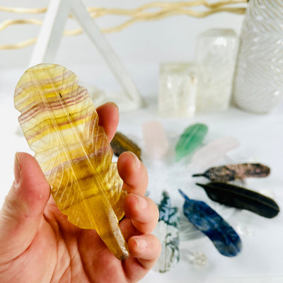 crystal feather with decorations in the background