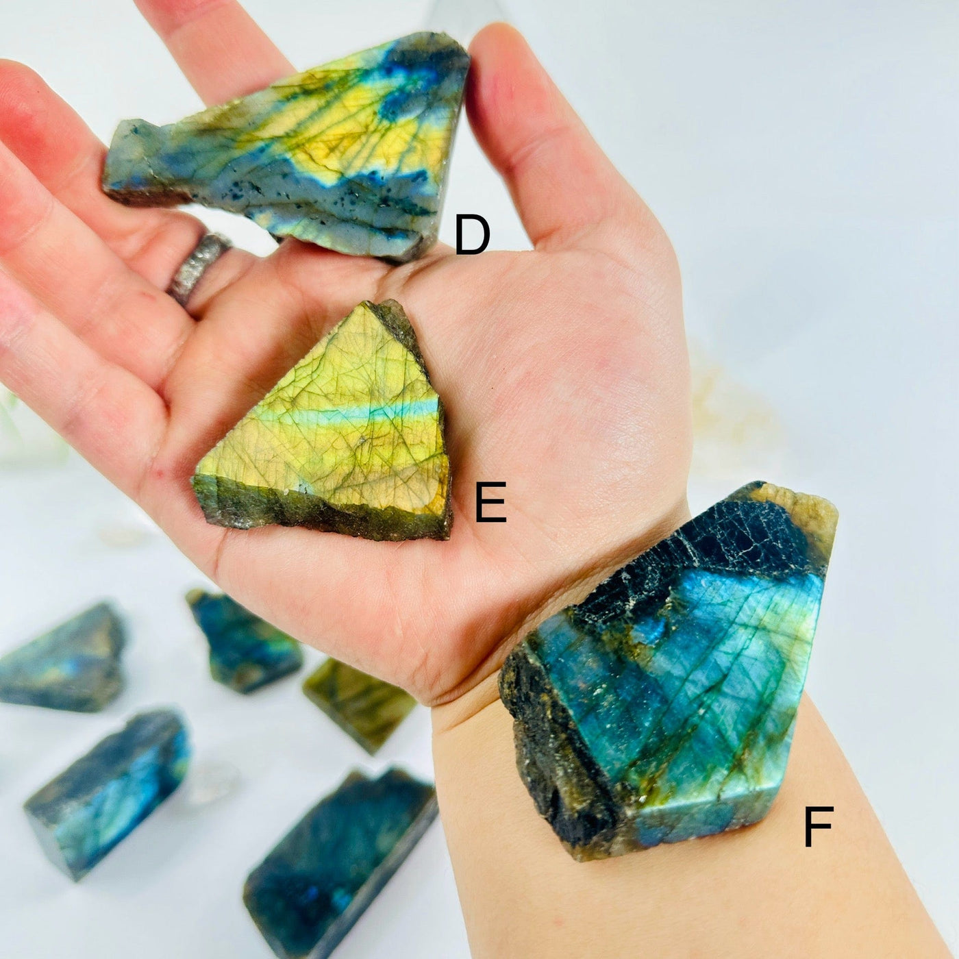 Labradorite Semi Polished Crystal Slab - YOU CHOOSE - variants D E F labeled on hand