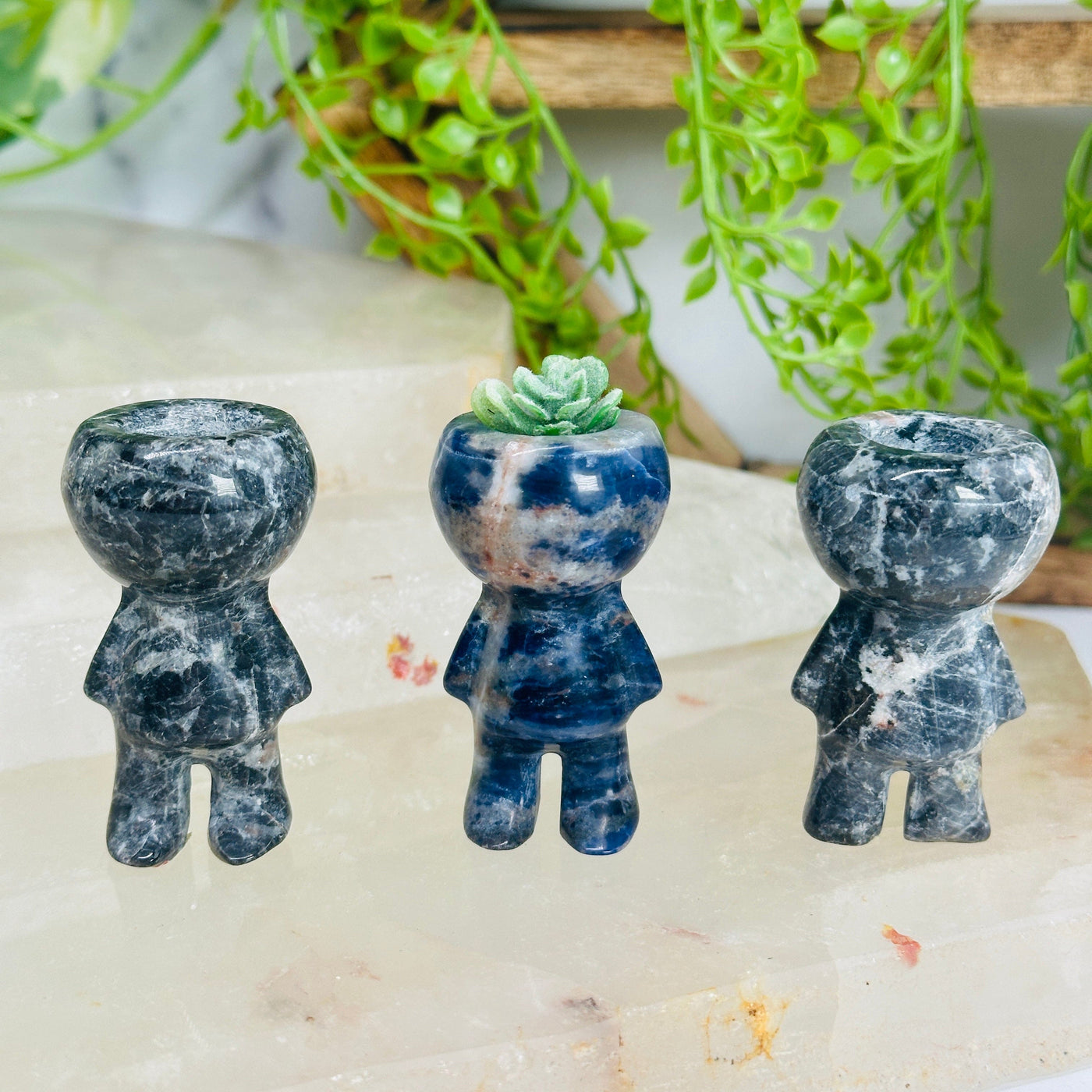 Sodalite Plant Holder Person - Carved Gemstone Figure - You Choose all variants on quartz platter with props and plants in background