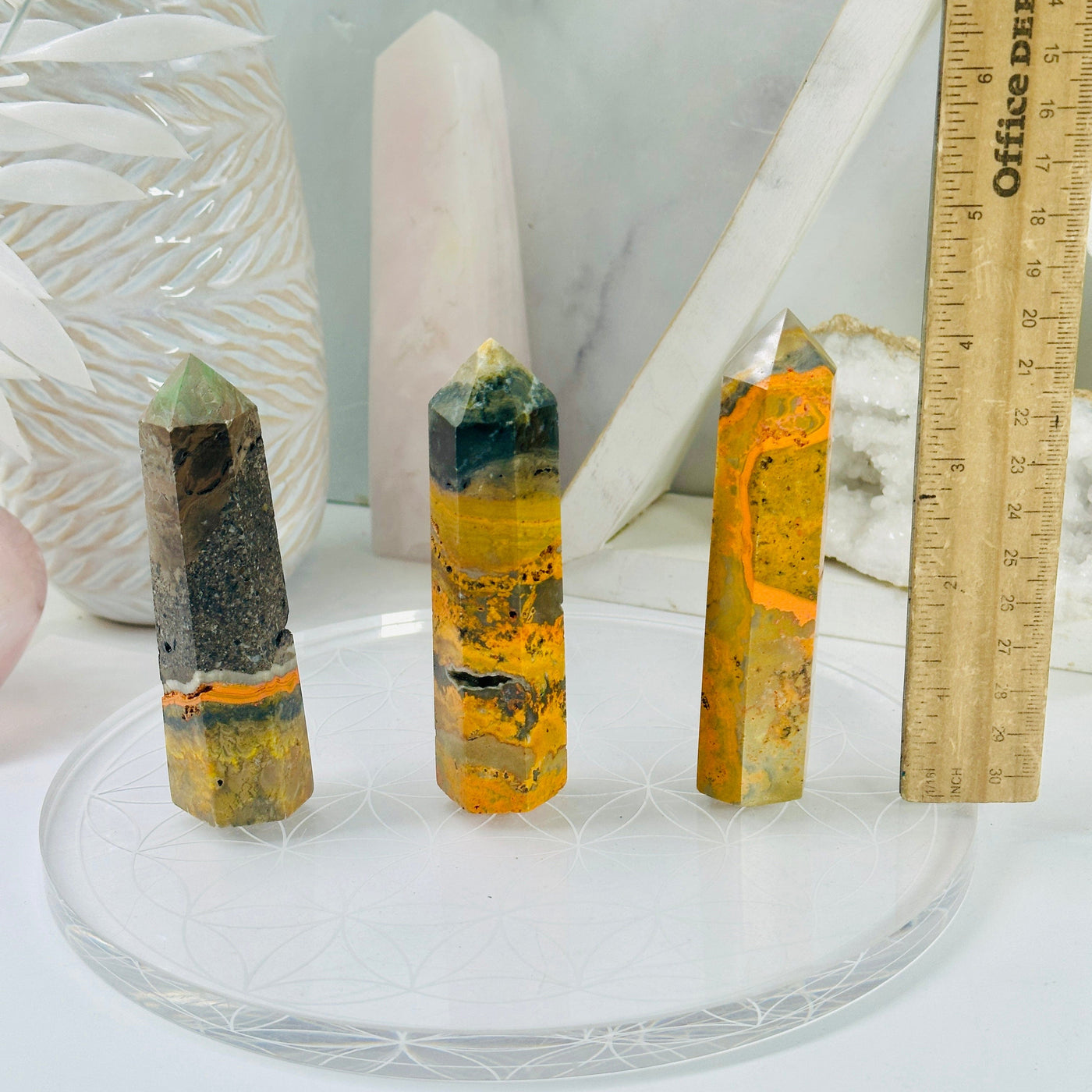 Bumble Bee Jasper - Crystal Point - YOU CHOOSE all variants with ruler for size reference