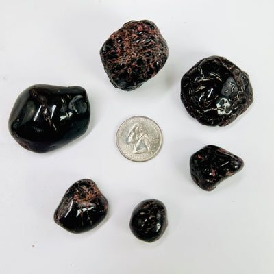 Garnet 1/2 lb bag Tumbled Nuggets - Mixed Sizes - Deep Red Rough Stones with quarter for size reference