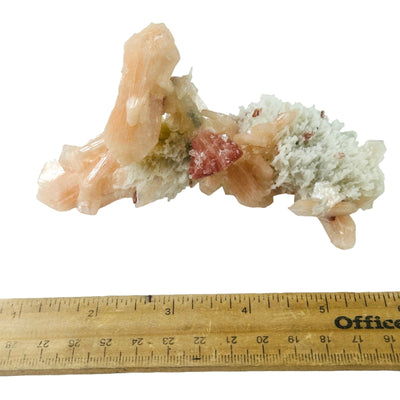 Peach and Red Stilbite Crystal Cluster on Matrix with ruler for size reference