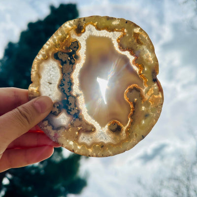 Agate Slice Set - Set of Eight Agate Crystals agate 6 in hand in front of the sun backlit