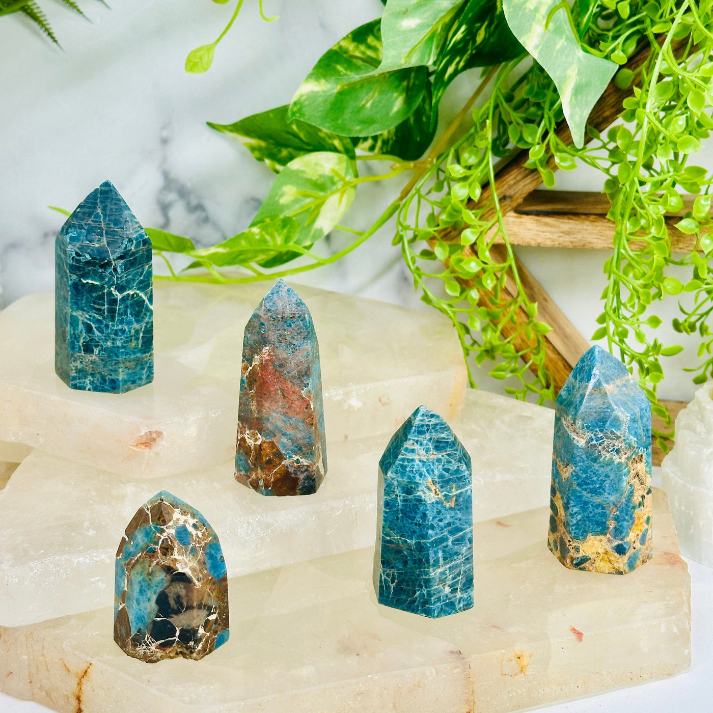 Apatite on Lions Eye Jasper - Crystal Points - You Choose all variants on quartz platters with props and plants in the background