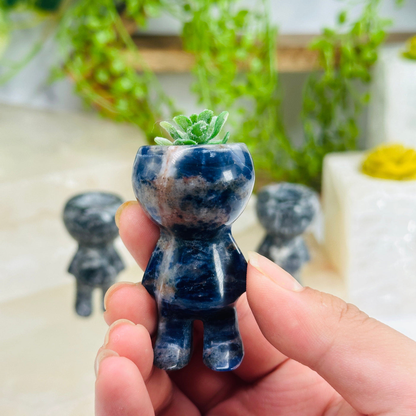 Sodalite Plant Holder Person - Carved Gemstone Figure - You Choose variant B in hand with small succulent for size reference with other variants in background