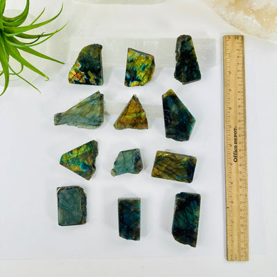 Labradorite Semi Polished Crystal Slab - YOU CHOOSE - all variants top view next to ruler for size reference