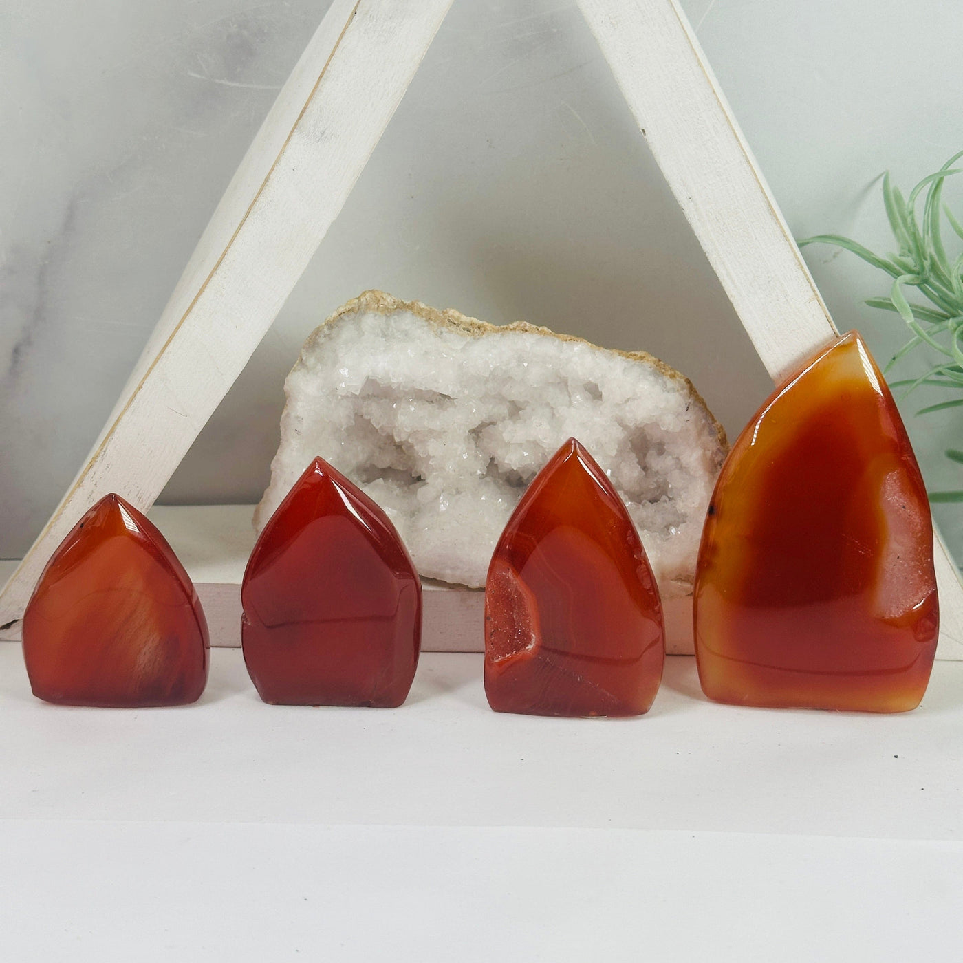 Carnelian Polished Cut Base - You Choose all four variants front view with props in background 
