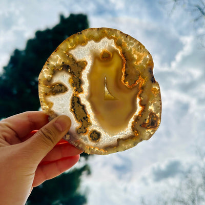 Agate Slice Set - Set of Eight Agate Crystals agate 4 in hand in front of the sun backlit
