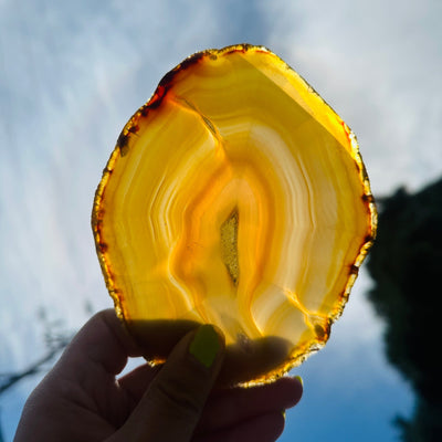 Iris Agate Slice Set - Six Agate Crystal Slices slice 1 in hand in front of sun backlit