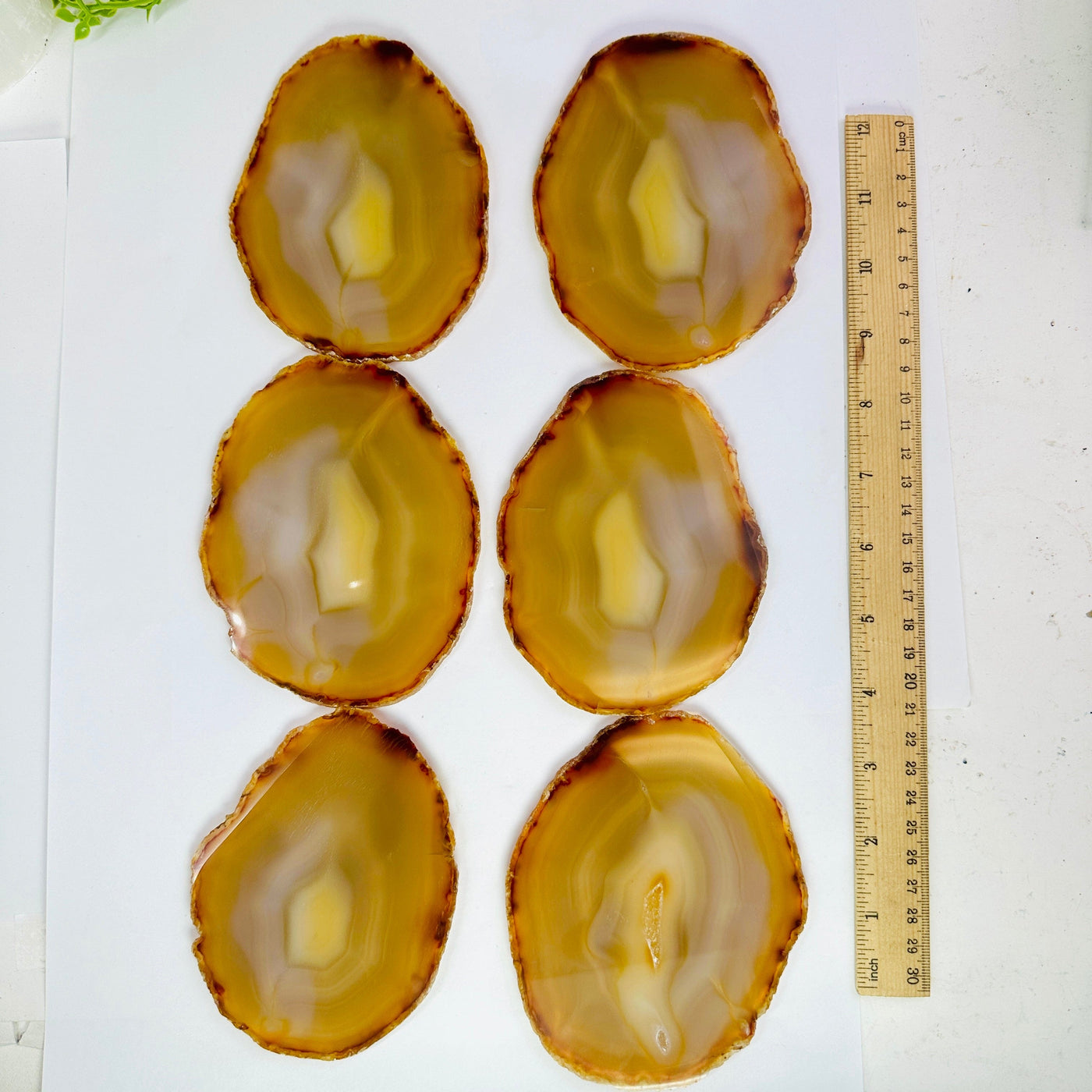Iris Agate Slice Set - Six Agate Crystal Slices with ruler for size reference