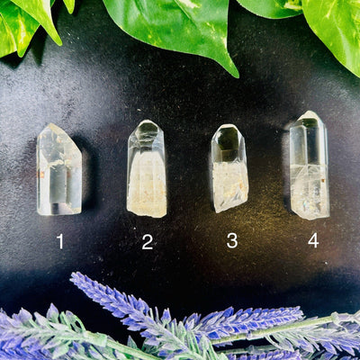 Crystal Quartz Point with Inclusions - High Quality - YOU CHOOSE variants 1 2 3 4 labeled