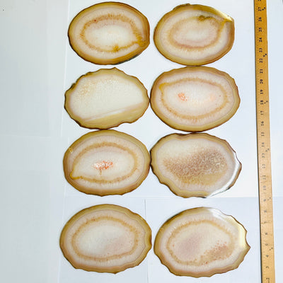 Agate Slice Set - Set of Eight Agate Crystals all agate slices next to yard stick on white background for size reference