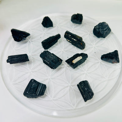 Black Tourmaline - Natural Rough Crystals - You Get All arranged on flower of life platter side view