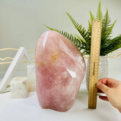 Rose Quartz Freeform Cut Base Crystal with ruler and hand for size reference