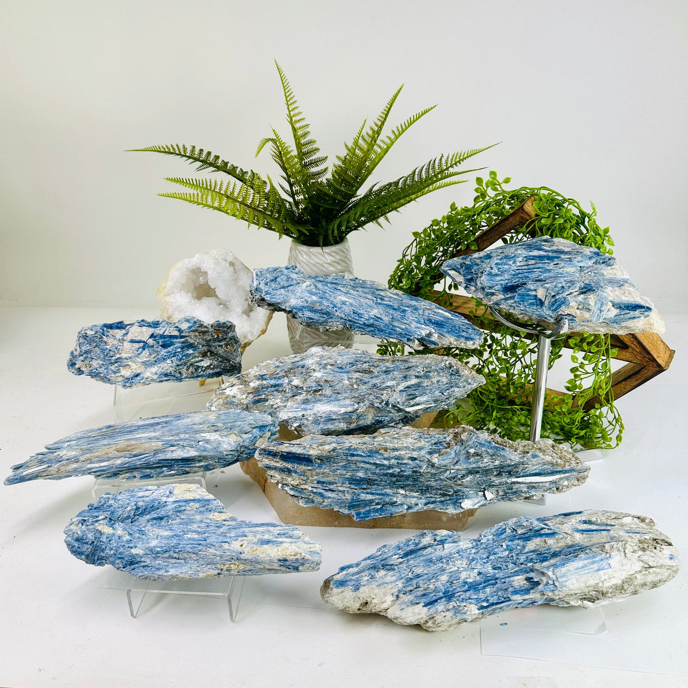 Blue Kyanite on Matrix - Rough Crystal - YOU CHOOSE all variants arranged on stands with props in background