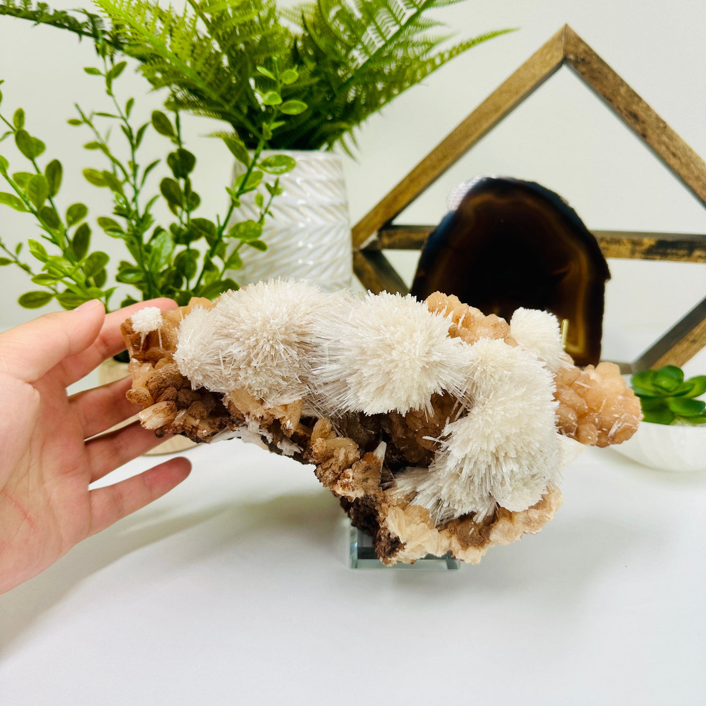 Scolecite on Peach Stilbite - High Quality Crystal Specimen - Museum Quality - with hand for size reference back view