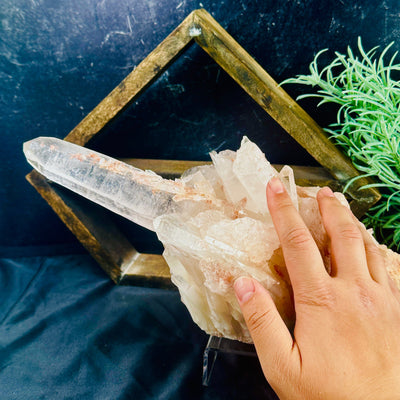 Lemurian Tangerine Quartz - Crystal Cluster - Large Points - OOAK side view with point facing left with hand for size reference