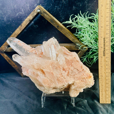 Lemurian Tangerine Quartz - Crystal Cluster - Large Points - OOAK with ruler for size reference