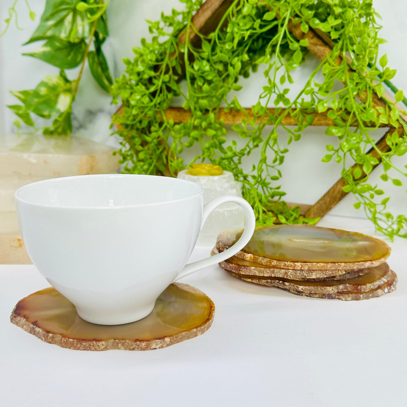 Iris Agate Slice Set - Six Agate Crystal Slices used as a coaster with white cup with props and plants in background