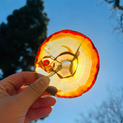 Agate Slice Set - Set of Eight Agate Crystal Coasters coaster 1 in front of sun backlit