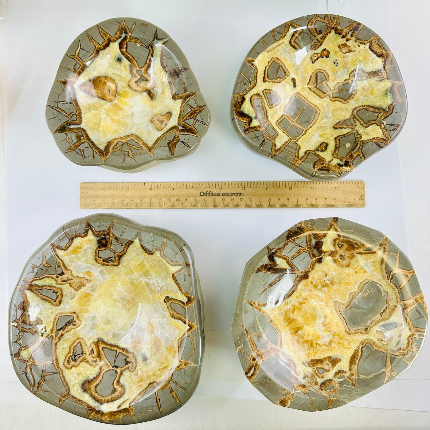 Utah Septarian Polished Crystal Bowls - You Choose - all variants with ruler for size reference
