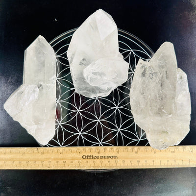  Crystal Quartz Cluster - Large Points - You Choose all points with ruler for size reference