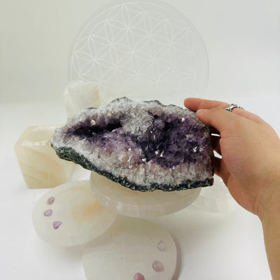 Raw Amethyst Cluster with Crystal Bloom with hand for size reference
