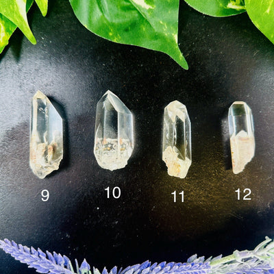 Crystal Quartz Point with Inclusions - High Quality - YOU CHOOSE variants 9 10 11 12 labeled