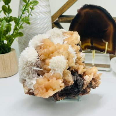 Scolecite on Peach Stilbite - High Quality Crystal Specimen - Museum Quality - side view