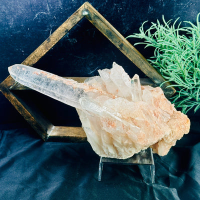 Lemurian Tangerine Quartz - Crystal Cluster - Large Points - OOAK side view with point facing left