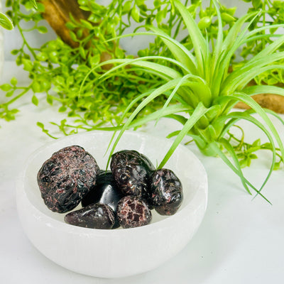 Garnet 1/2 lb bag Tumbled Nuggets - Mixed Sizes - Deep Red Rough Stones in bowl next to plants