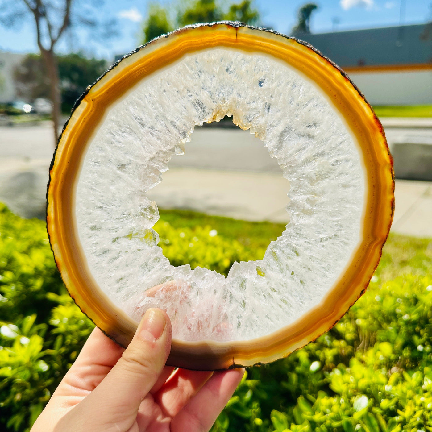 Agate Slice Set - Set of Two Agate Crystals first agate held in hand outside in the sun backlit