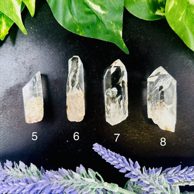 Crystal Quartz Point with Inclusions - High Quality - YOU CHOOSE variants 5 6 7 8 labeled