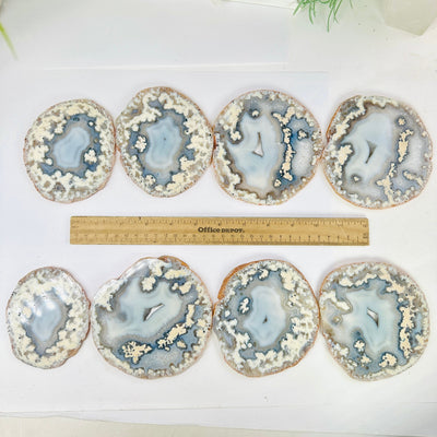 Agate Slice Set - Set of Eight Agate Crystals all 8 agates with ruler for size reference