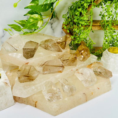 Rutilated Quartz - Polished Freeform Crystal - YOU CHOOSE all variants on quartz platters with props and plants in background