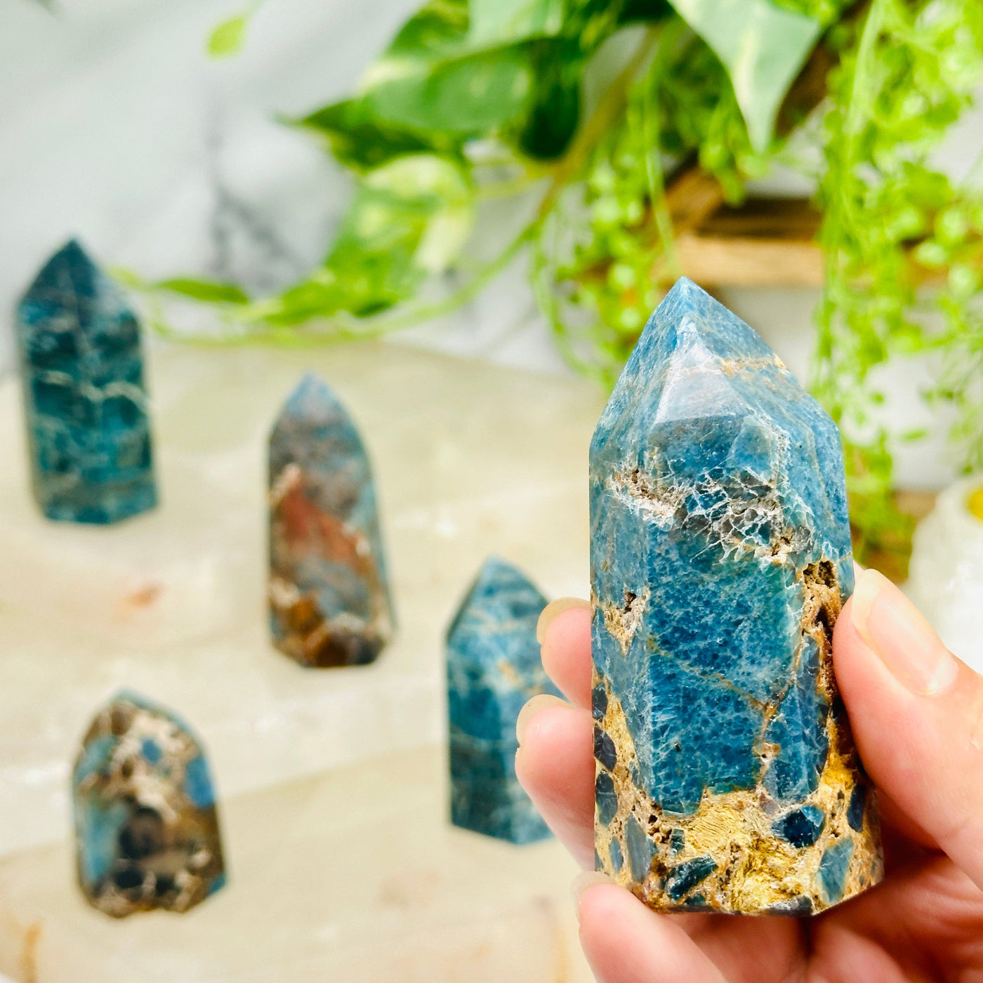 Apatite on Lions Eye Jasper - Crystal Points - You Choose variant E in hand with other variants in background