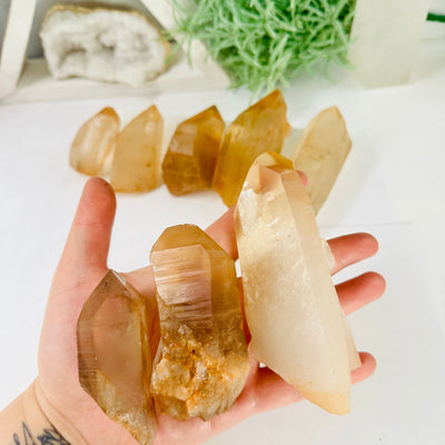  Lemurian Tangerine Quartz Point - High Quality - By Weight small medium and large lemurian tangerine quartz points in hand for size reference