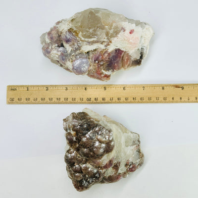  Lepidolite - Rare Botryoidal Lepidolite - Rough Stone - You Choose both variants with ruler top view for size reference