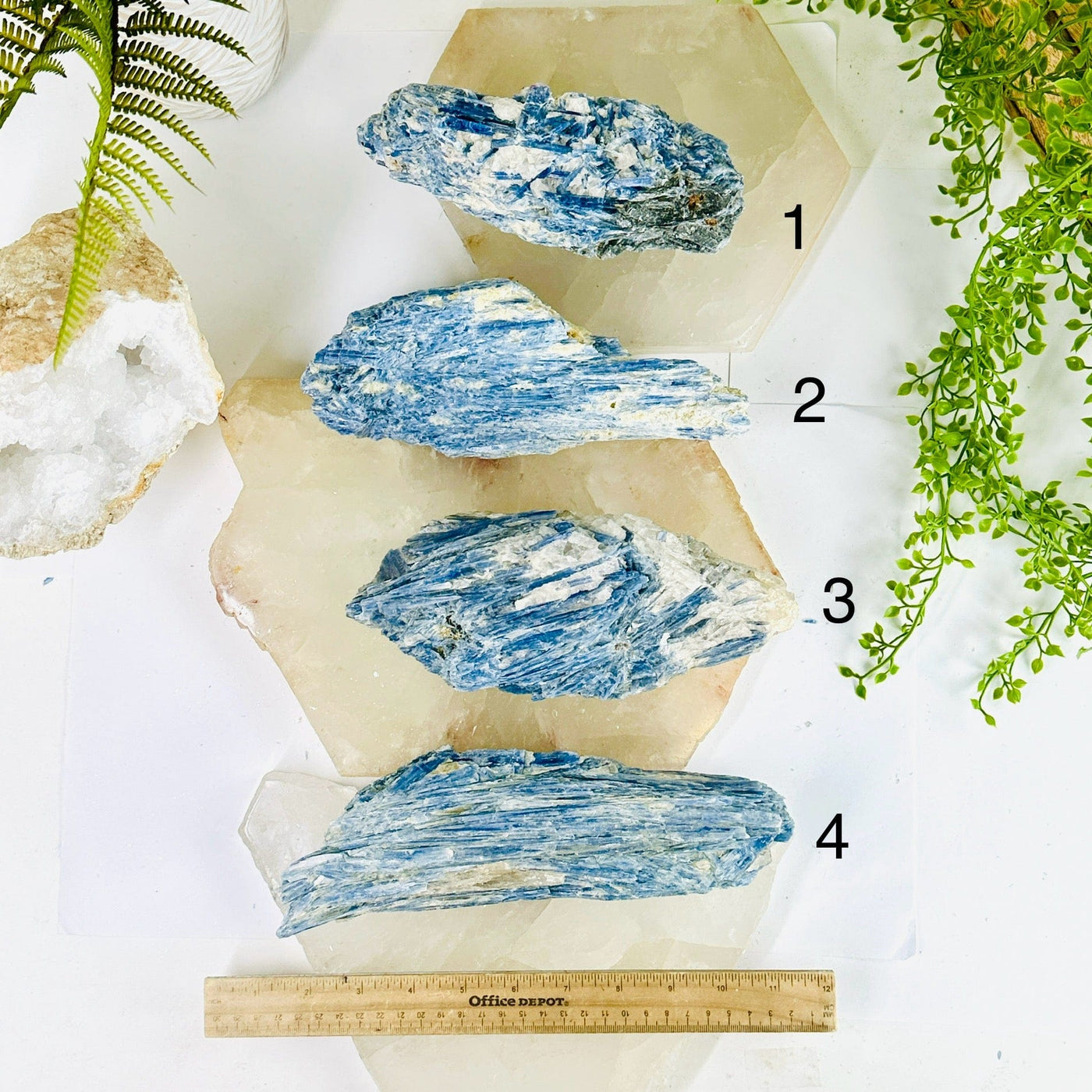 Blue Kyanite on Matrix - Rough Crystal - YOU CHOOSE variants 1, 2, 3, 4 labeled top view with ruler for size reference