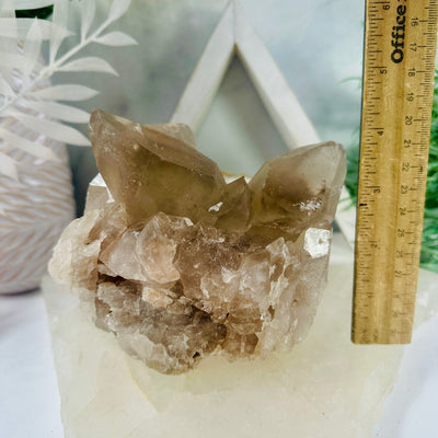 Smokey Quartz Cluster - Natural Raw Crystal Cluster front view with ruler for size reference