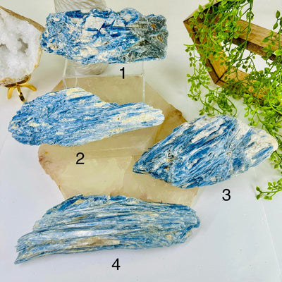 Blue Kyanite on Matrix - Rough Crystal - YOU CHOOSE variants 1, 2, 3, 4 labeled