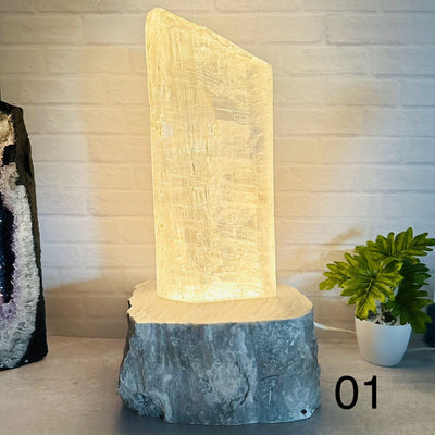 Selenite Lamp with Gray Onyx base - Crystal Decor - You Choose - option 01
