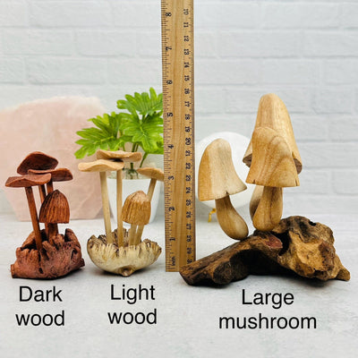 wooden mushrooms next to a ruler for size reference 