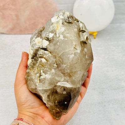 Natural Alligator Smokey Quartz Cluster in hand for size reference 