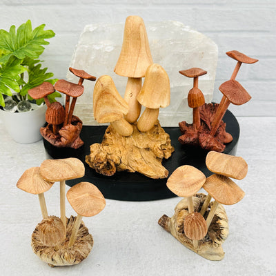 multiple wooden mushrooms displayed to show the differences in the sizes and color shades