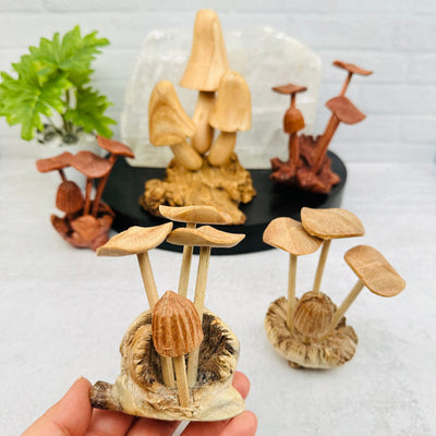 multiple wooden mushrooms displayed to show the differences in the sizes and color shades 