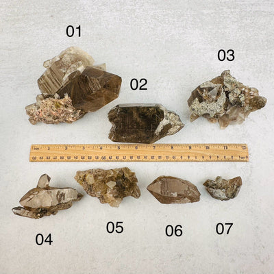 clusters next to a ruler for size reference  